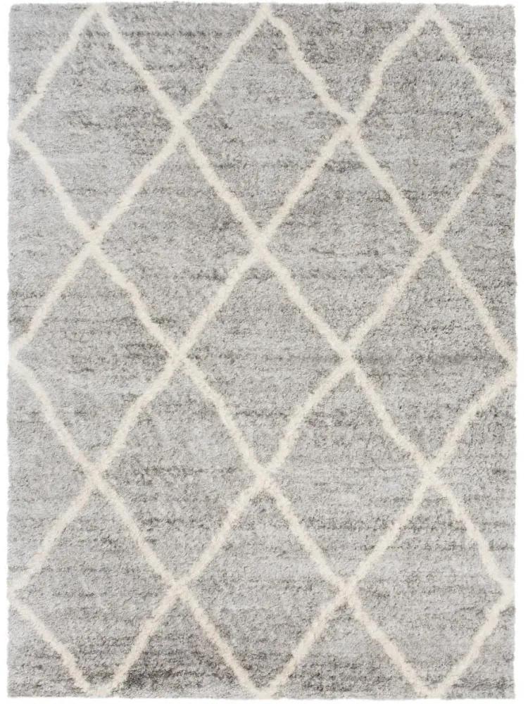 Kusový koberec shaggy Mirza sivý 80x150cm