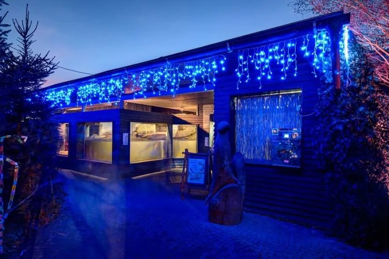 DECOLED LED svetlá vo forme rampúchov, 3 × 0,5 m, modré, 114 diód, IP44