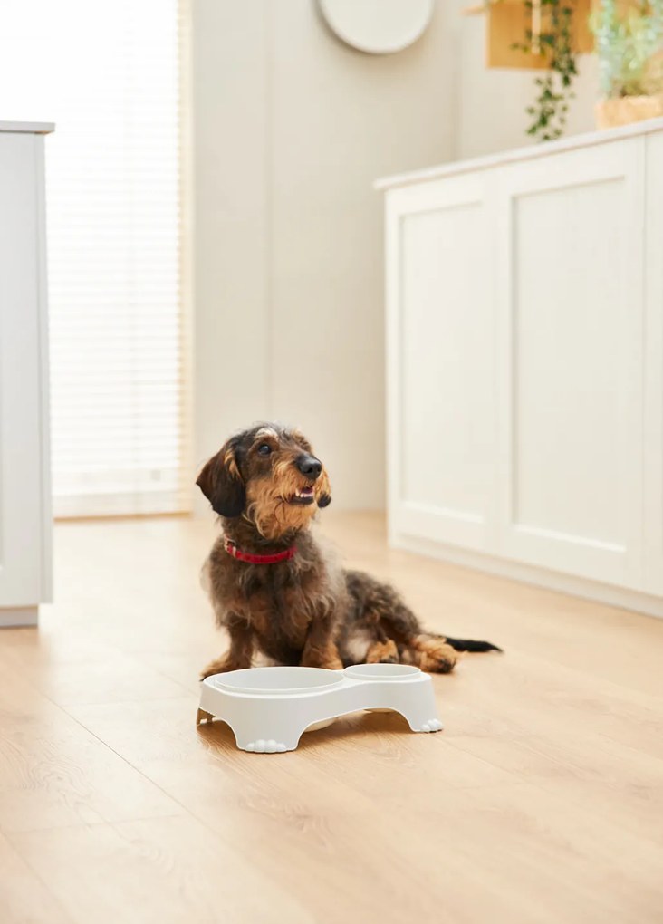 Rotho Miska na krmivo a vodu pre psov a mačky, dvojitá s vekom, SALLY - krémová