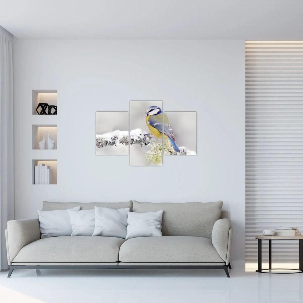 Obraz - Sýkorka modrinka v lese (90x60 cm)