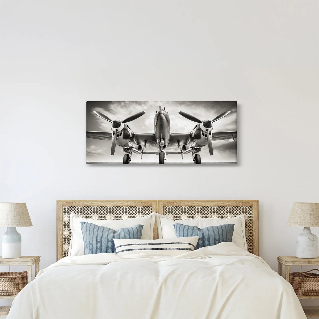 Obraz - Warbird (120x50 cm)