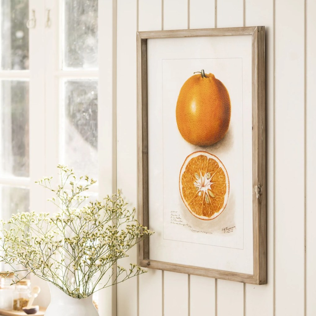 IB LAURSEN Obraz v rámé Citrus Fruits 45 x 60 cm Pomeranč