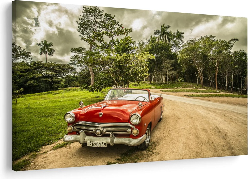 Obraz - auto veterán v prírode (90x60 cm)