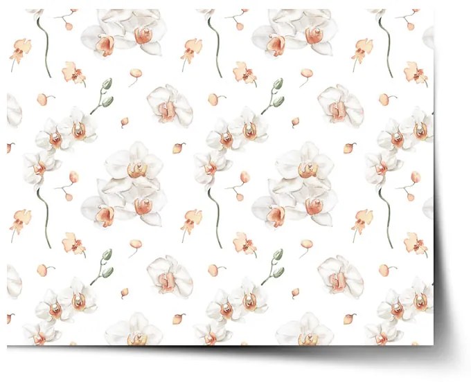 Sablio Plagát Biela orchidea - 60x40 cm
