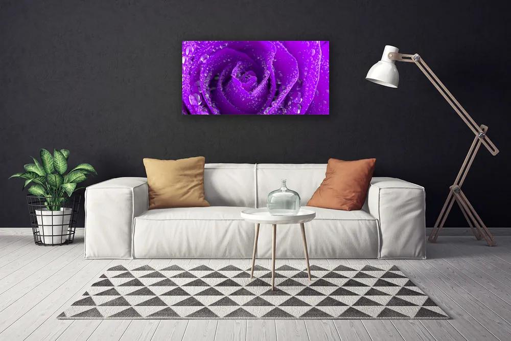 Obraz na plátne Ruže kvet 120x60 cm