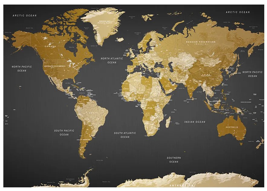 Samolepiaca fototapeta - Mapa sveta: Moderná geografia 98x70