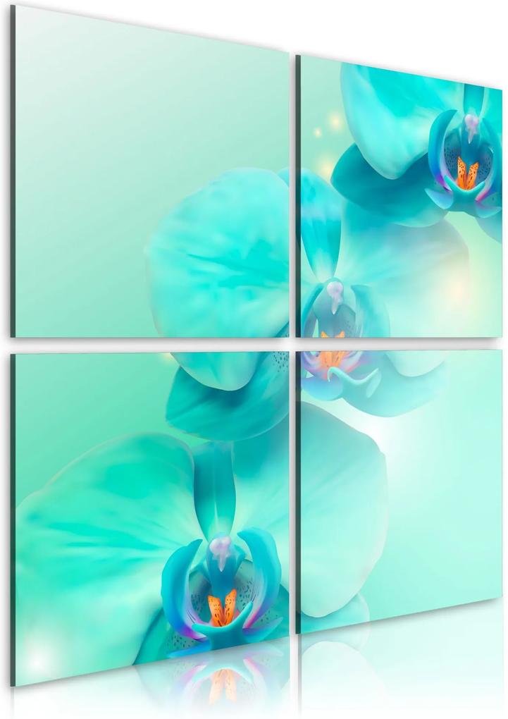 Obraz - Sky-blue orchids 40x40