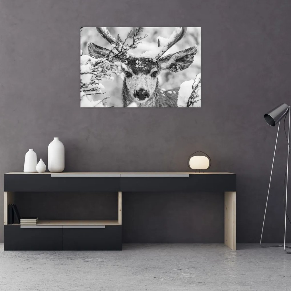 Obraz - Jeleň v zime (90x60 cm)
