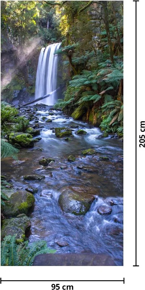 Fototapeta na dvere - Austrálsky dažďový les (95x205cm)