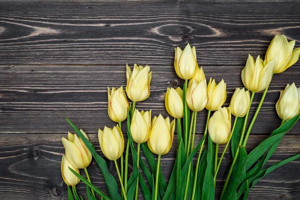 Samolepiaca fototapeta žlté tulipány na drevenom podklade - 300x200