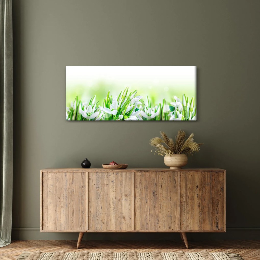 Obraz - Snežienky (120x50 cm)