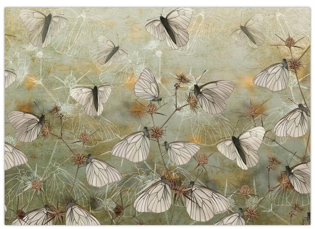 Sklenený obraz - Vintage motýle (70x50 cm)