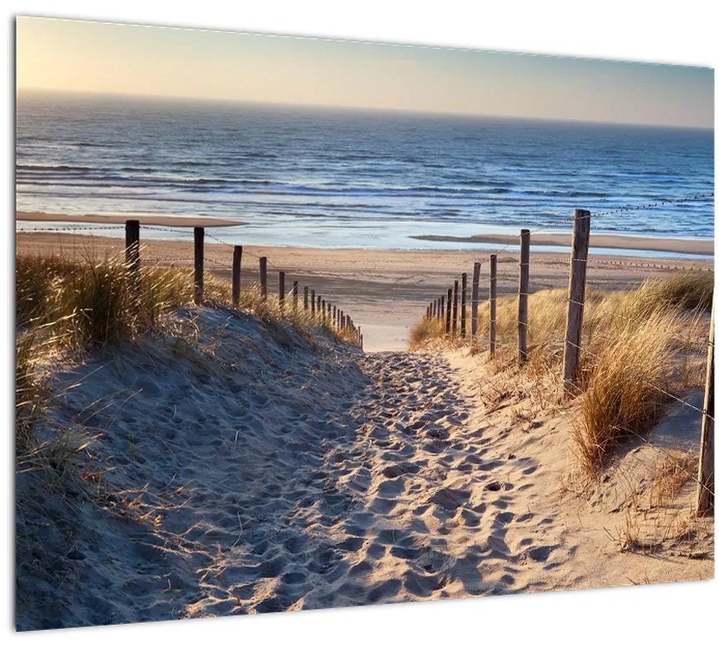 Obraz - Cesta k pláži Severného mora, Holandsko (70x50 cm)