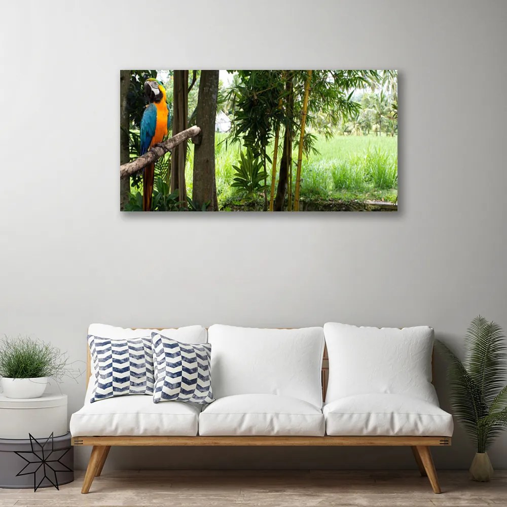 Obraz Canvas Papagáj stromy príroda 120x60 cm