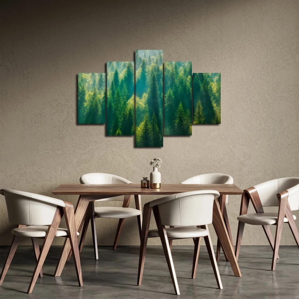 Obraz - Borovicový les (150x105 cm)