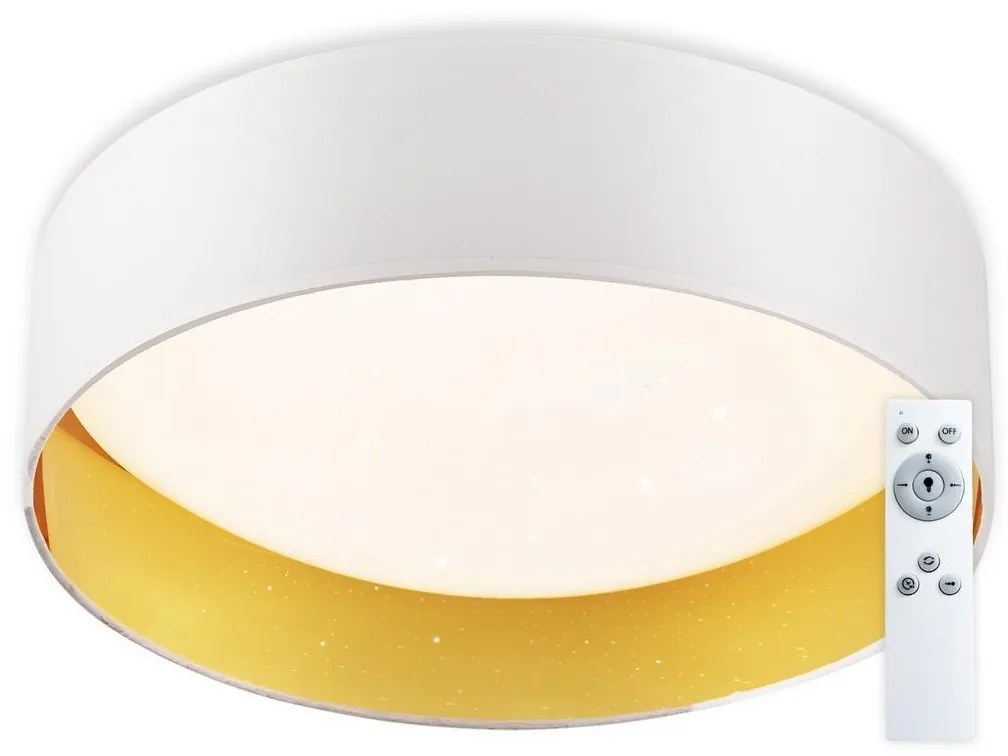 Top Light Top Light - LED Stmievateľné stropné svietidlo LED/24W/230V + diaľkové ovládanie biela TP1657