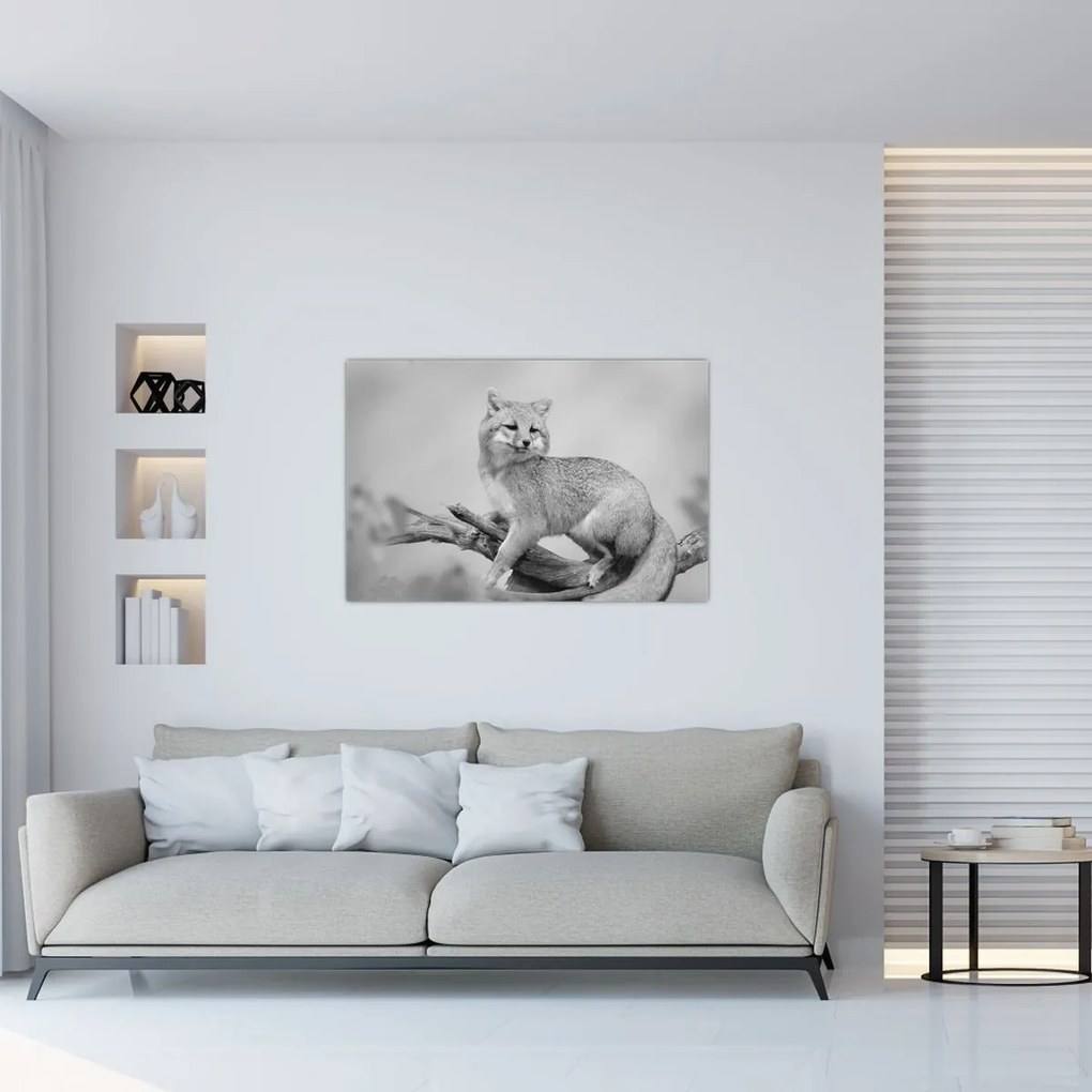 Obraz - Líška šedá (90x60 cm)