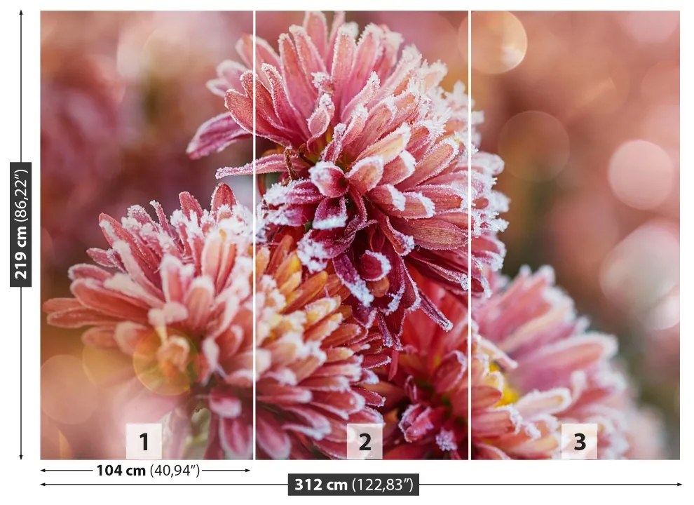 Fototapeta Vliesová Aster ice pink 250x104 cm