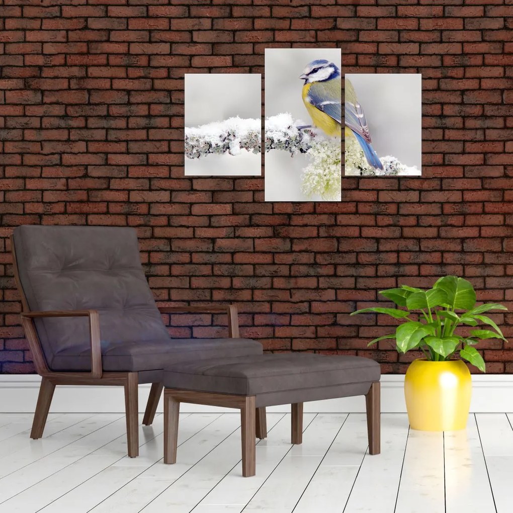 Obraz - Sýkorka modrinka v lese (90x60 cm)