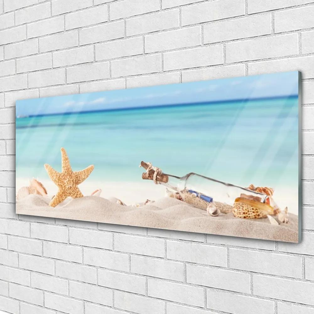 Obraz plexi Hviezdice mušle pláž 125x50 cm