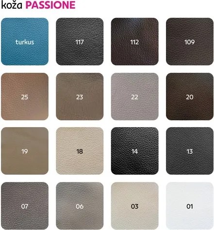 Kožené kreslo Cezar III - wenge / biela (White snow)