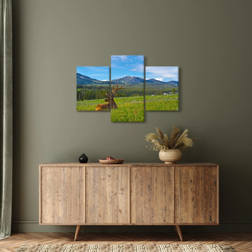 Obraz - Jeleň v lúke (90x60 cm)