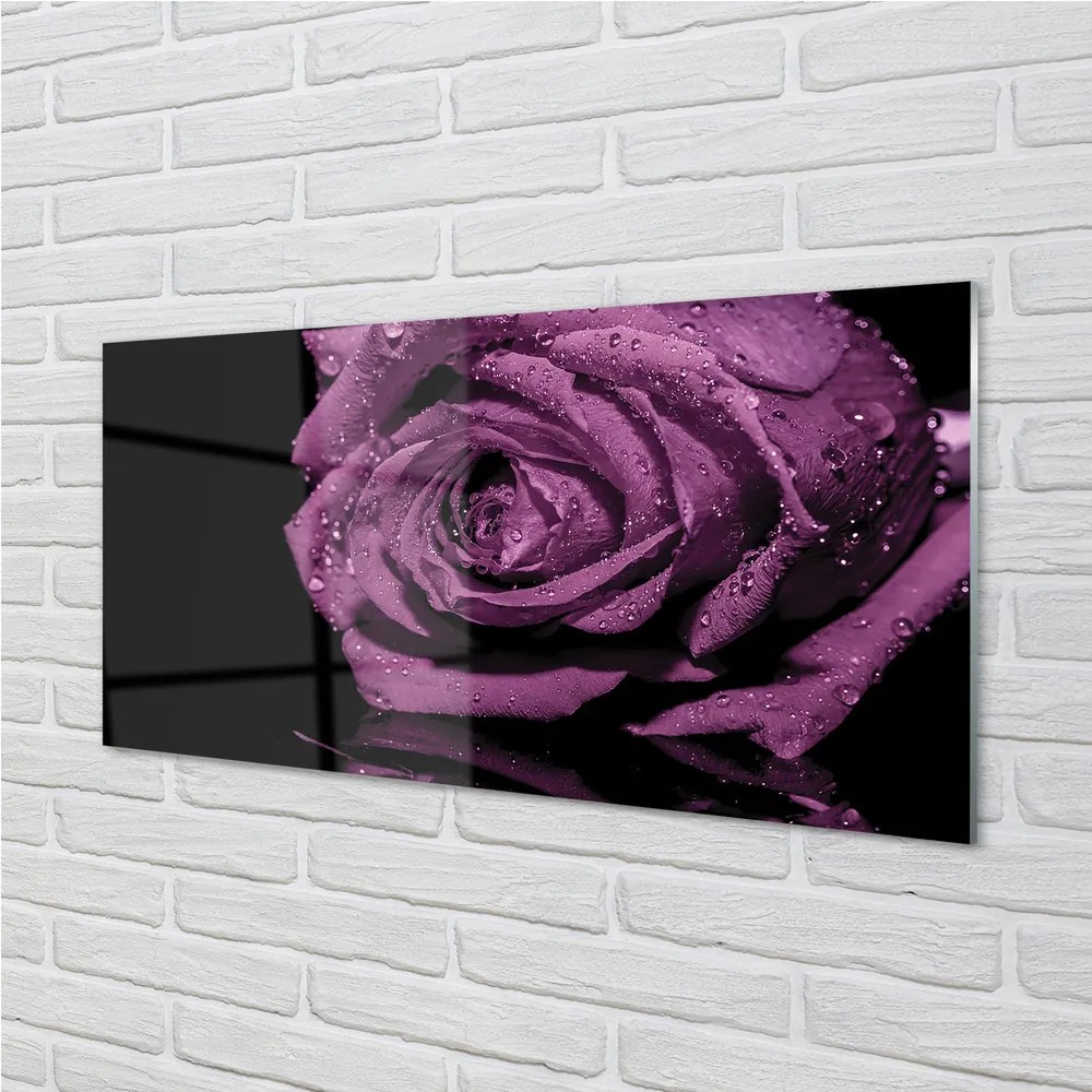 Obraz plexi Purpurová ruža 125x50 cm