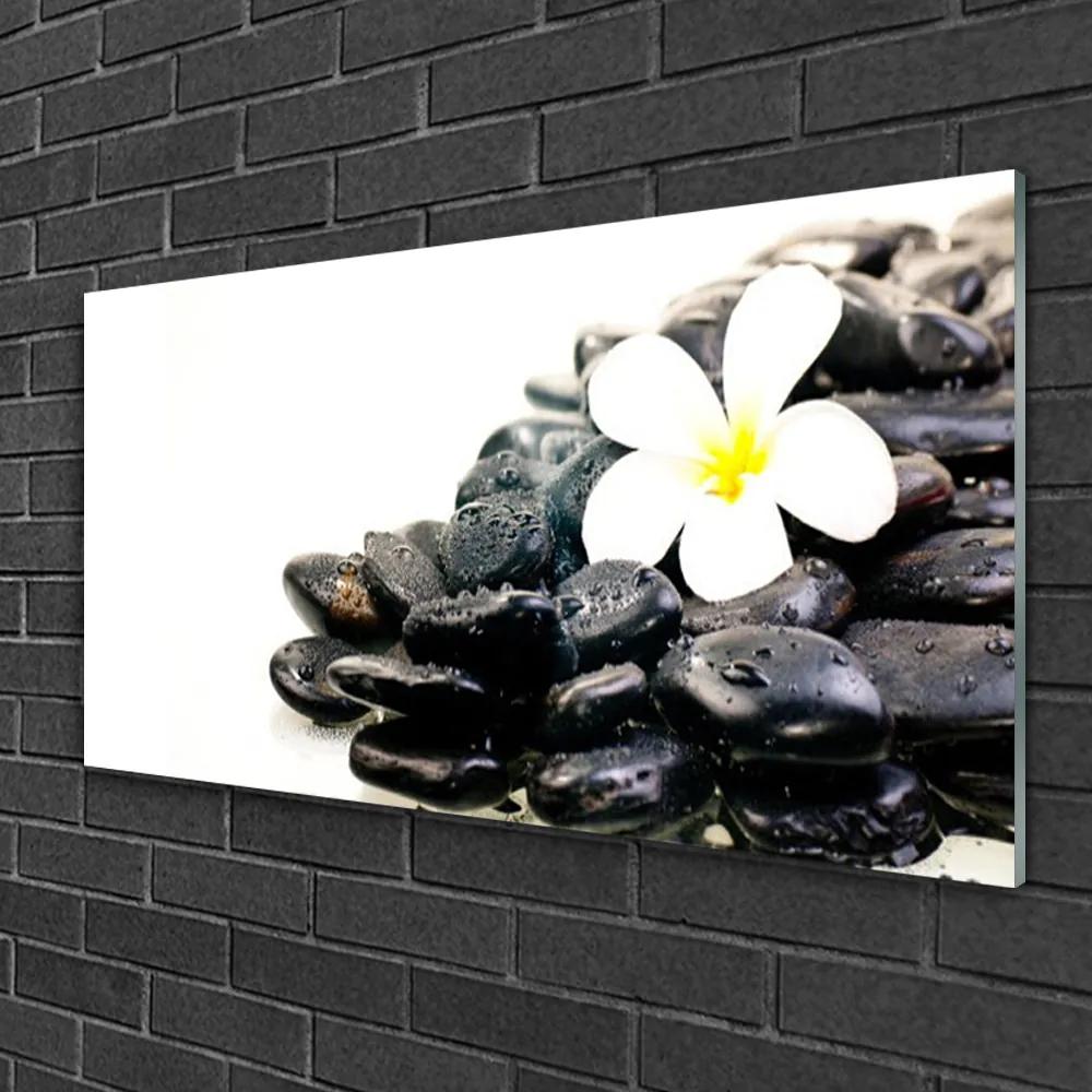Skleneny obraz Kvety kamene umenie 100x50 cm