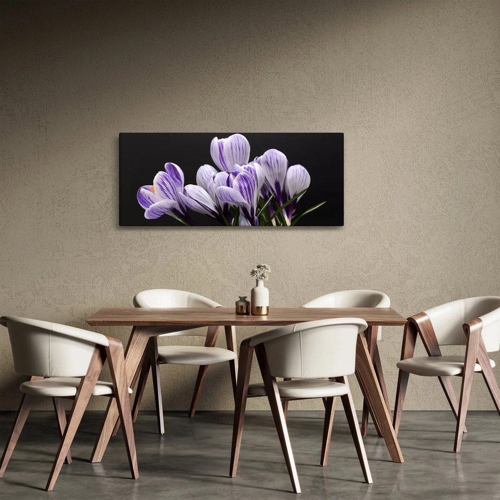 Obraz - Fialové krókusy (120x50 cm)
