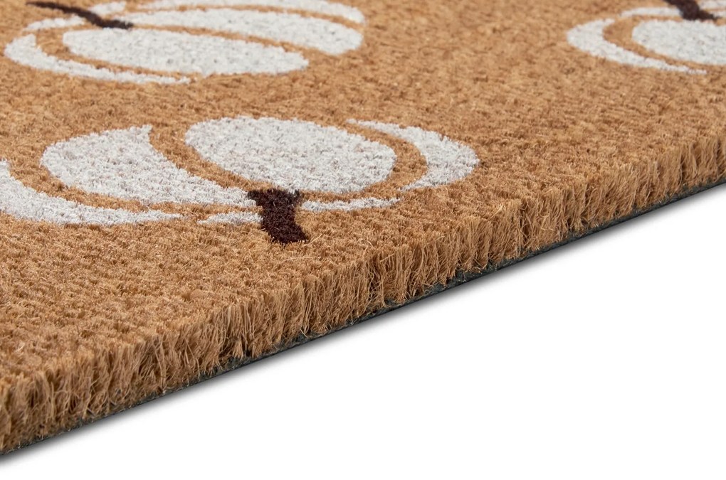 Hanse Home Collection koberce DOPREDAJ: 45x75 cm Rohožka Mix Mats 105676 Cocos - 45x75 cm