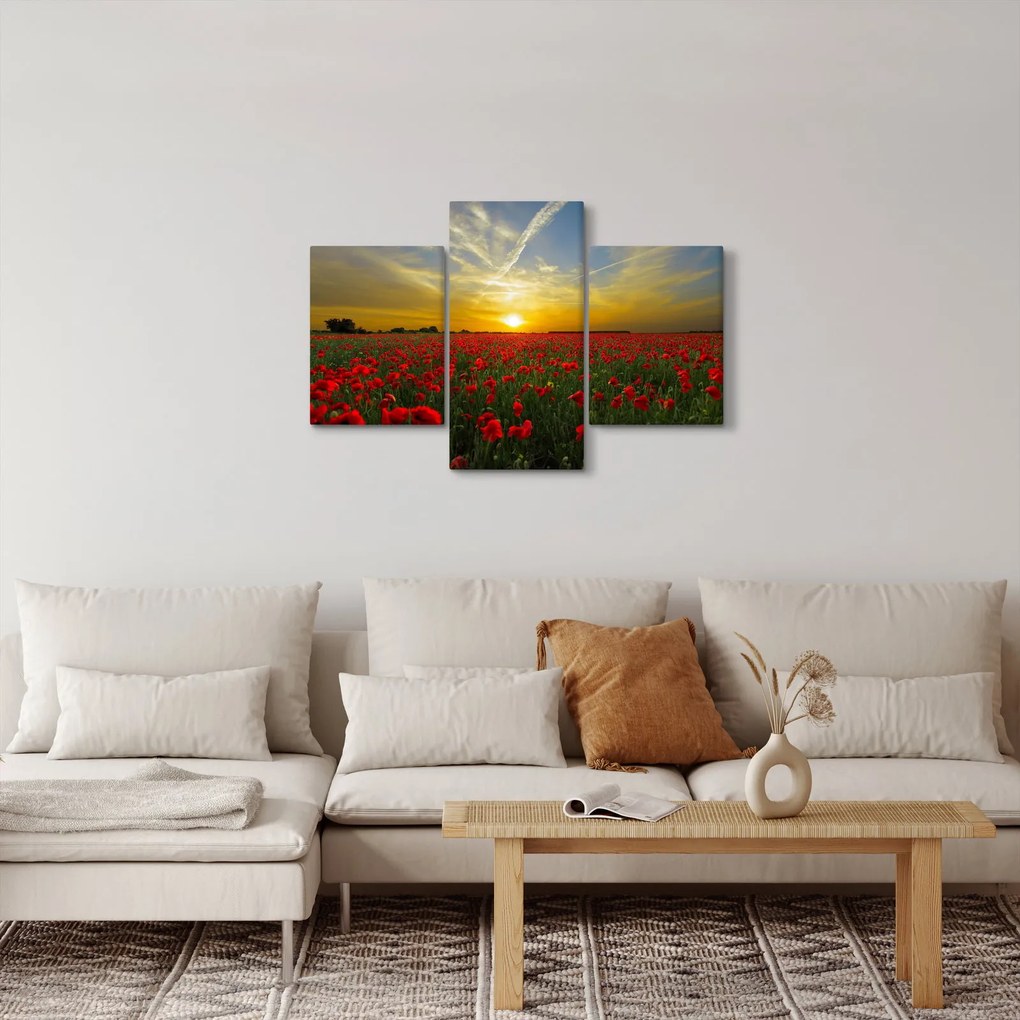 braz poľa vlčích makov (90x60 cm)