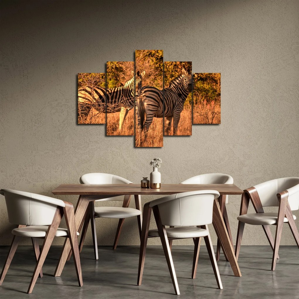 Obraz zebier (150x105 cm)