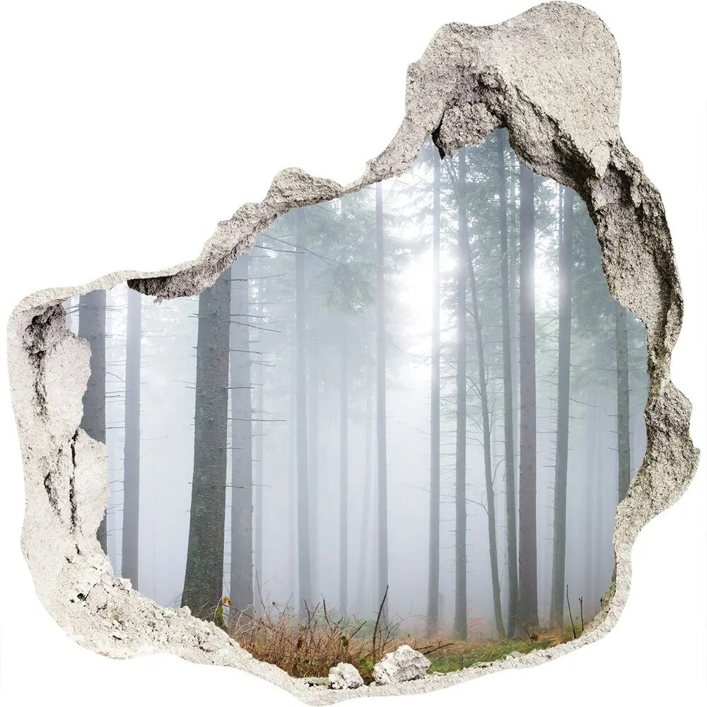 Nálepka fototapeta 3D výhľad Hmla v lese WallHole-75x75-piask-74026356