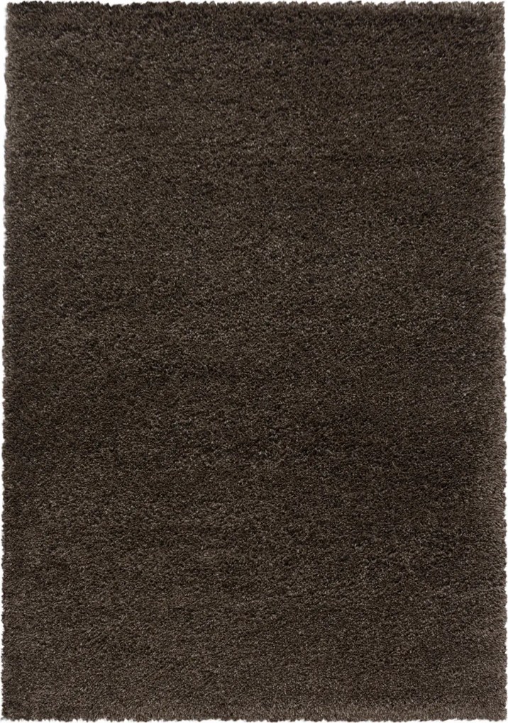 Ayyildiz, AKCIA: 120x170 cm Kusový koberec Fluffy Shaggy 3500 brown, hnedá, obývacia izba