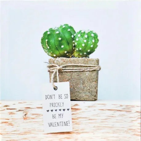 Obraz tlačený na plátne 28x28 PRC901