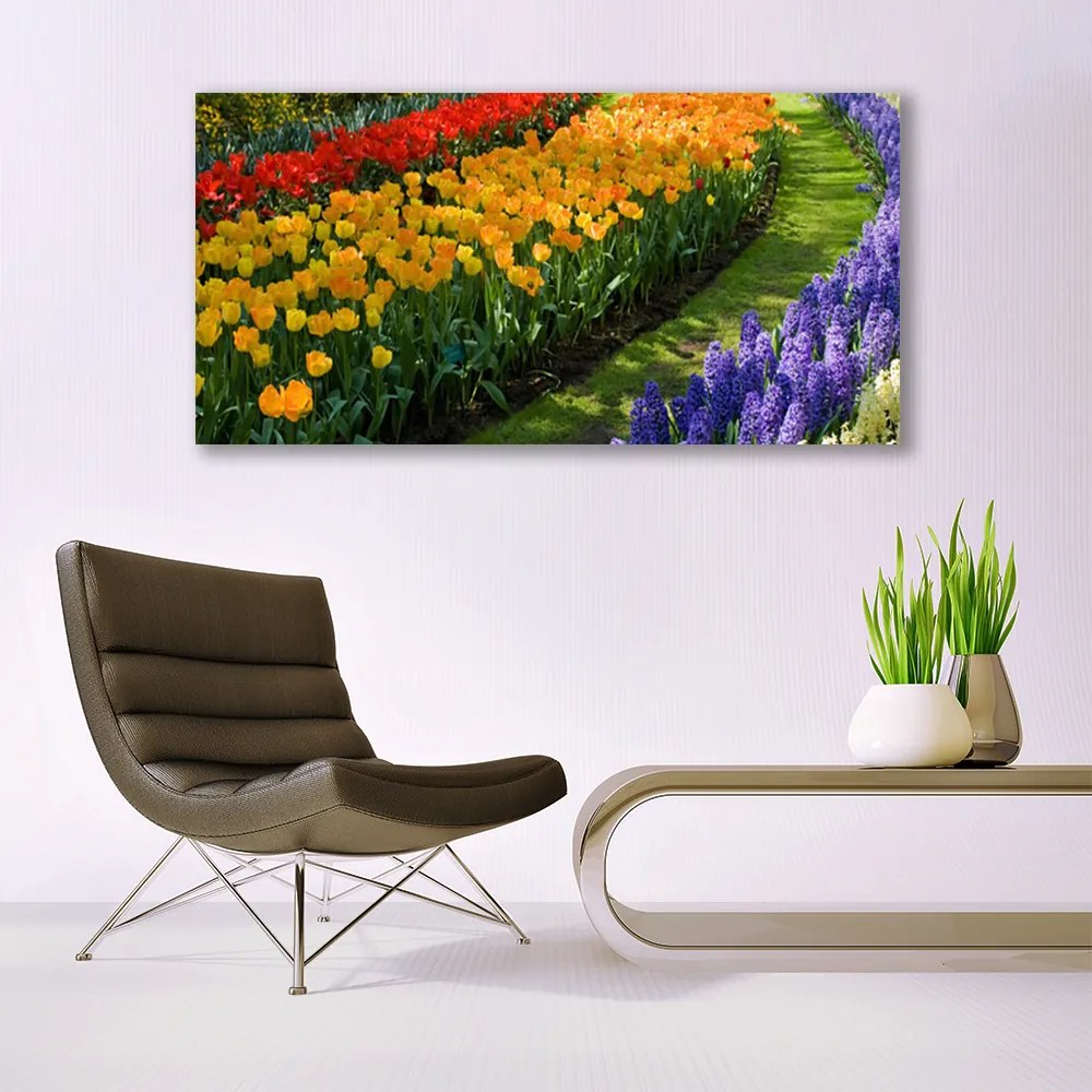 Obraz plexi Kvety záhrada tulipány 120x60 cm
