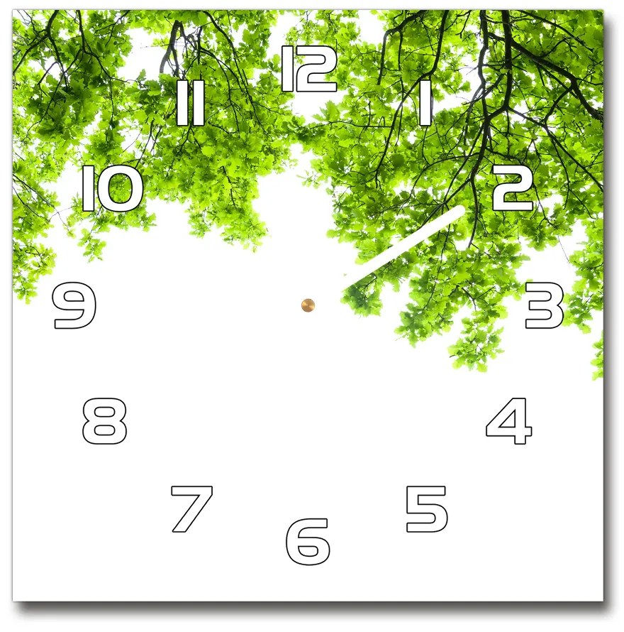 Sklenené hodiny štvorec Lístie duba pl_zsk_30x30_f_66522437