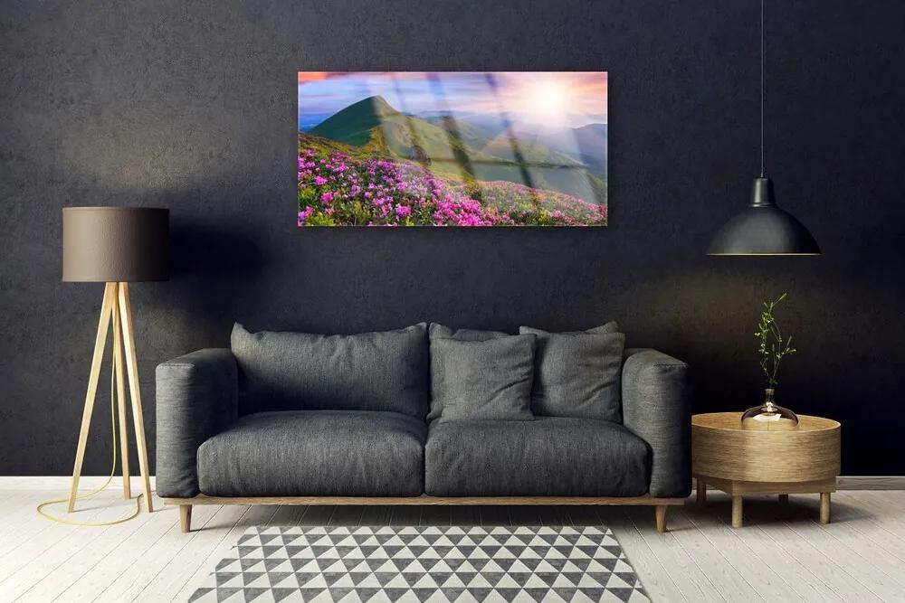 Obraz plexi Hory lúka kvety príroda 100x50 cm