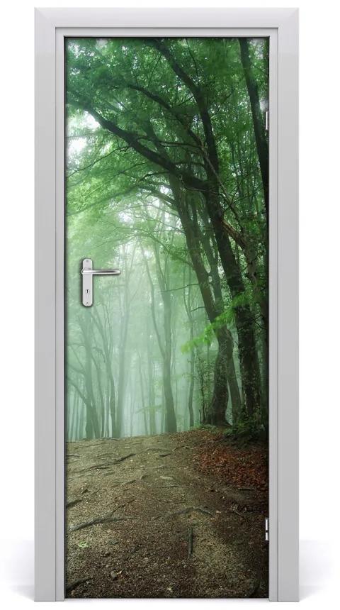 Fototapeta na dvere samolepiace hmla v lese 95x205 cm
