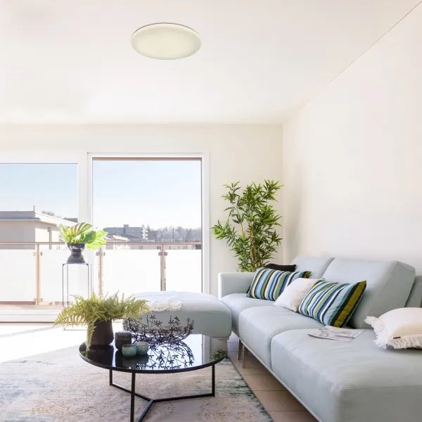 Rabalux 5450 - LED Stmievateľné stropné svietidlo DANNY LED/60W/230V + DO