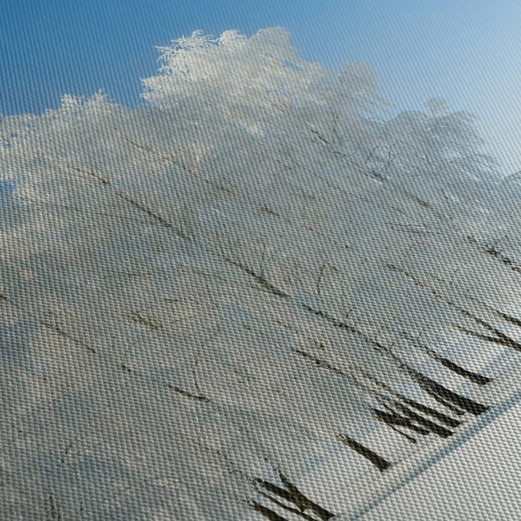 Obraz zasneženej krajiny (90x60 cm)