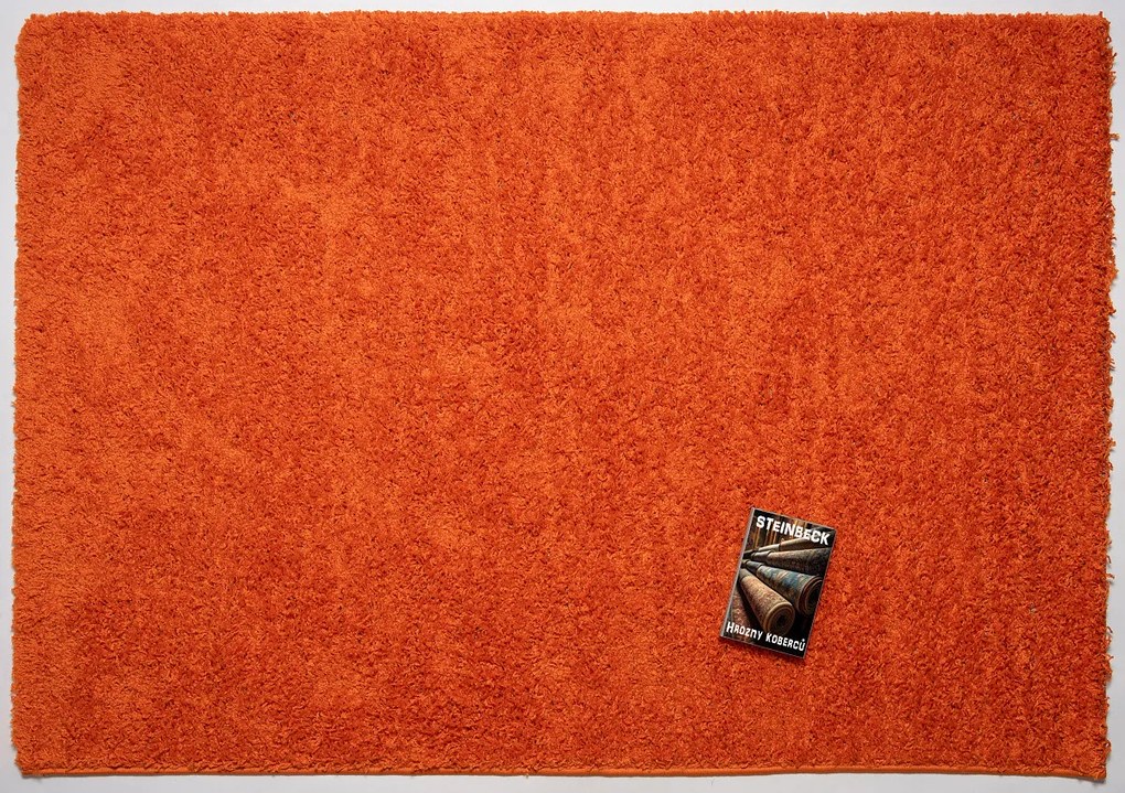 Kusový koberec Efor Shaggy 3419 Orange, 80x150, oranžová, obývacia izba, Mono Carpet