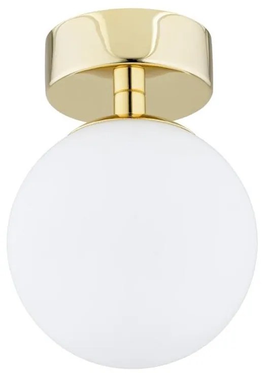 Argon 4004 - Kúpeľňové stropné svietidlo FLAVIO 1xE14/7W/230V IP44