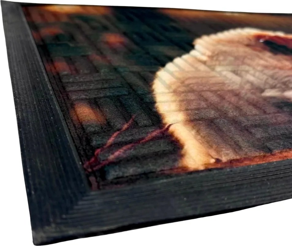 Home Elements Rohožka Kočka a pes