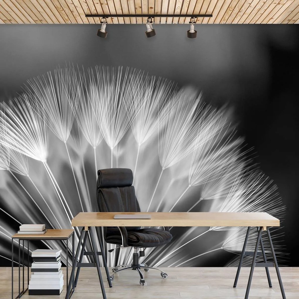 Fototapeta - Púpava (152,5x104 cm)