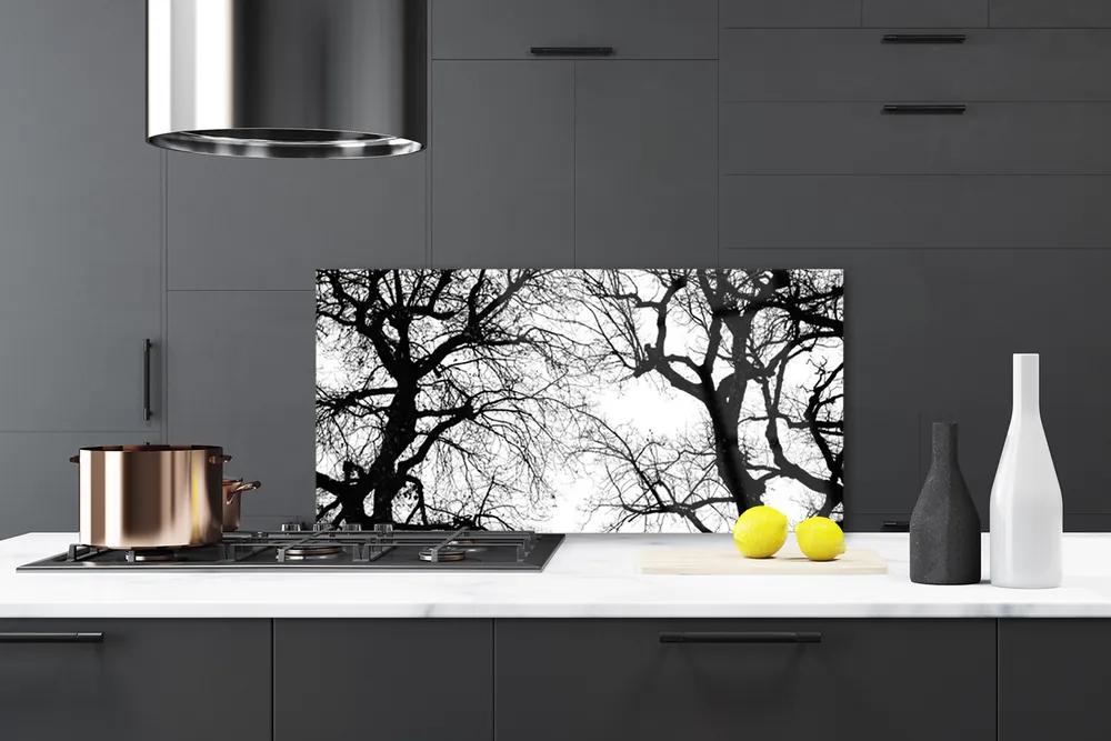 Sklenený obklad Do kuchyne Stromy príroda čiernobiely 100x50 cm