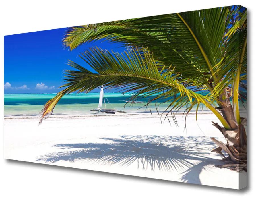 Obraz Canvas Pláž palma príroda 140x70 cm