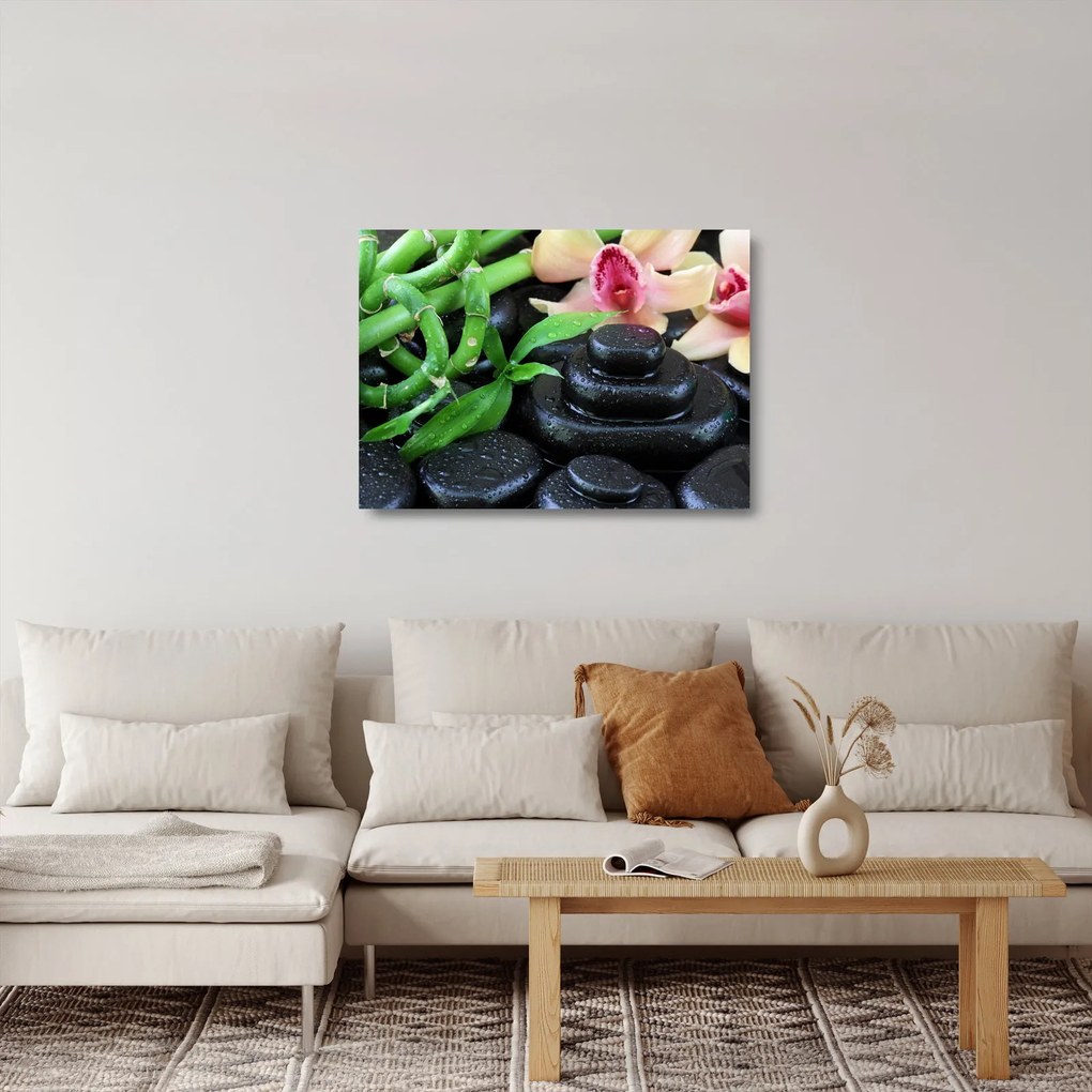Sklenený obraz - Kamene a orchidey (70x50 cm)