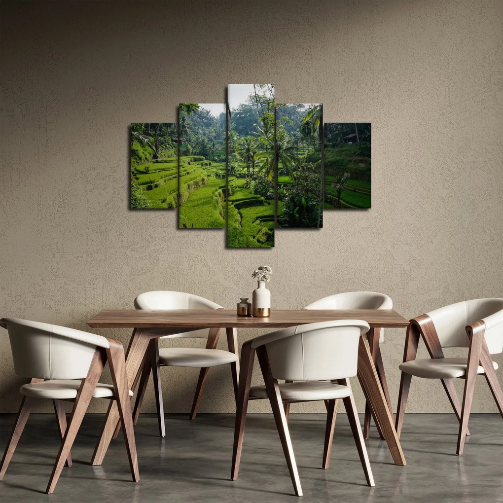 Obraz ryžových terás Tegalalang, Bali (150x105 cm)