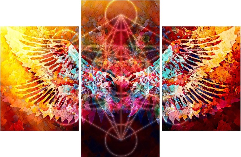 Obraz - Merkaba s krídlami, abstrakcia (90x60 cm)